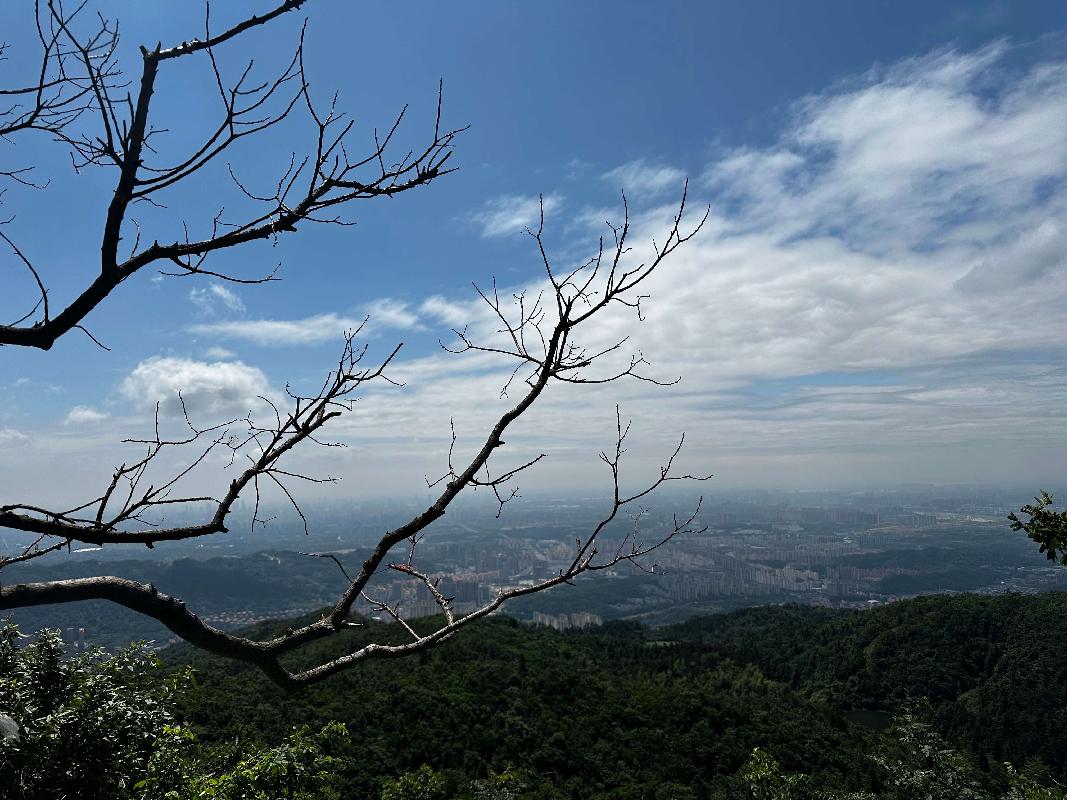登顶1