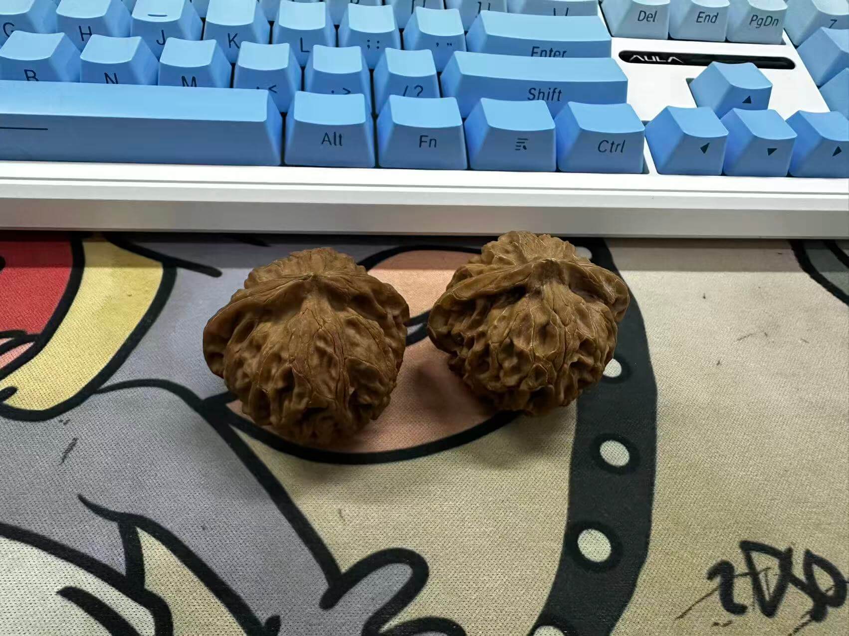 核桃 核桃